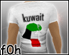 f0h Kuwait grey Shirt