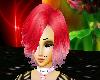 BB* Drew pink 2tone