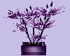 *KNW* Purple ExoticPlant