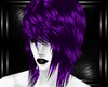 purple wizard hairs