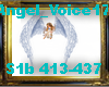 Angel_Voice17