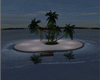 Beach Island