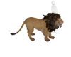 Cavanni Pet Lion