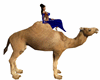 (BC)CAMEL ARABIC