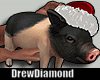 Dd-Christmas  Pig Avi /M