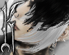 ╋━ WHITE+