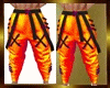 M IRAQ PANTS  COLOR