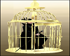 Gold Bird Cage