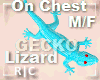 R|C Gecko Blue M/F