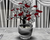 Red Budding Potted Plant
