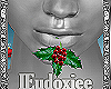 🎄Mistletoe