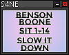 BENSON BOONE-SLOW IT DOW