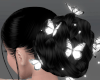 Lunoria ʚɞ