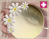 spring daisy shades