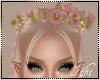 -I- S. Butterfly Crown P