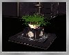Wild Fountain