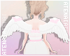 ❄ Rose Cupid Wings