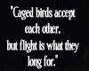 Caged Bird Quote
