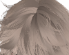 H-hair