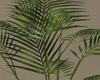 Loft Club Palm
