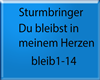 Du bleibst in meinem