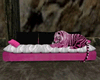 {V} Pink Tiger Couch