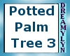 !D Potted Palm Tree 3