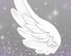 ♡ Cupid Wings B/W