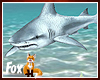 Fox~ Shark 2d image