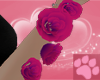 ~AM~ Kibopur Arm Roses