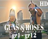 Guns & Roses HD