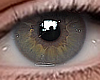 ✔ Eyes