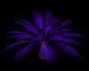Purple Glow Palm