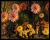 [RM] Rom.View Flowers