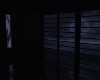 SMP Moonlight Darkness