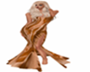 Unique Brown Gown