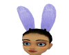 Purple Bunny ears