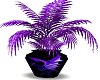 Dragon vase w/plant