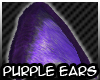 [B] Purple Small Ears