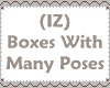 (IZ) Boxes Many Poses