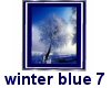 (MR) Winter Blue Pic 7