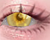 ୨ৎ Sunflower Eyes
