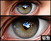 🅉 - Perfect Eyes