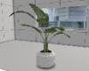 ∆ PLANT