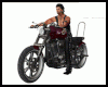 Harley Davidson Bike 3P