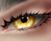 Dandelion Unisex