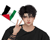 Palestine Flaghand
