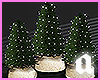 Potted mini trees Gld