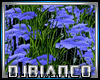 Epic Grass 2 DjLight