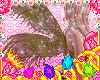 ♡Fairy Wings Olive